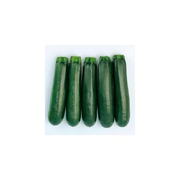 YbL[j̎ [_El 100 ( ؂̎ )