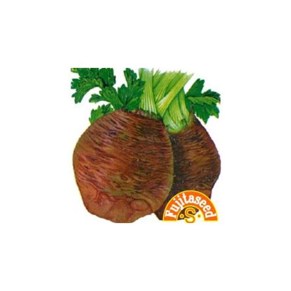 ؂̎ ZAbN(Zj  ( ؂̎ )