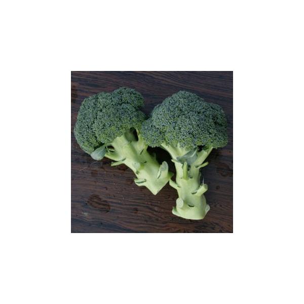 ubR[̎ b R[g5痱 ( ؂̎ )