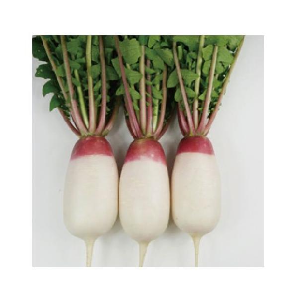 卪̎ ~j卪 g  ( ؂̎ )