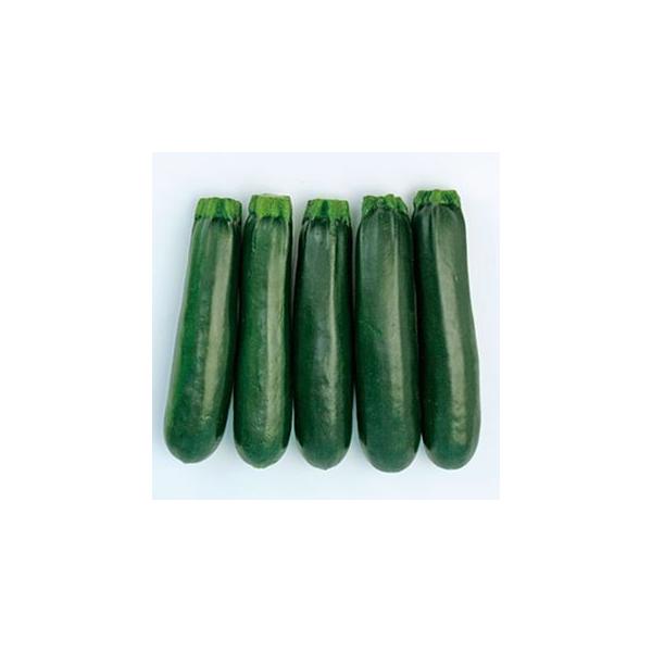 YbL[j̎ [_El  ( ؂̎ )