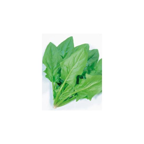 zE\E̎ Ăق  ( ؂̎ )