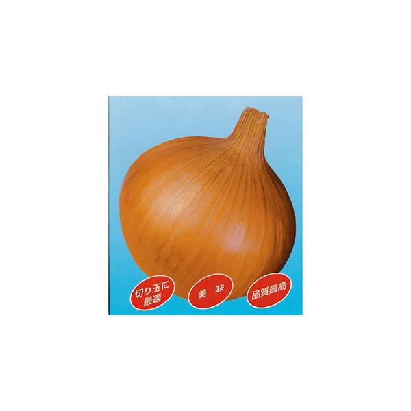 たまねぎの種 スーパーアップ 2dl ( 野菜の種 ) : 菜園くらぶ