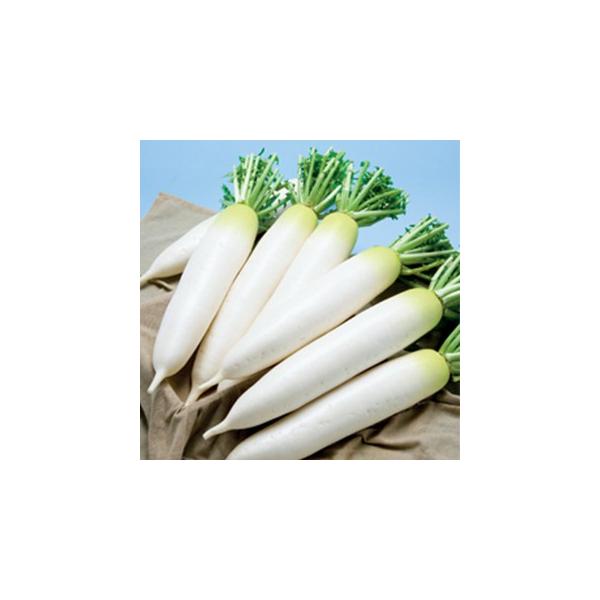 卪̎ _y 2dl ( ؂̎ )