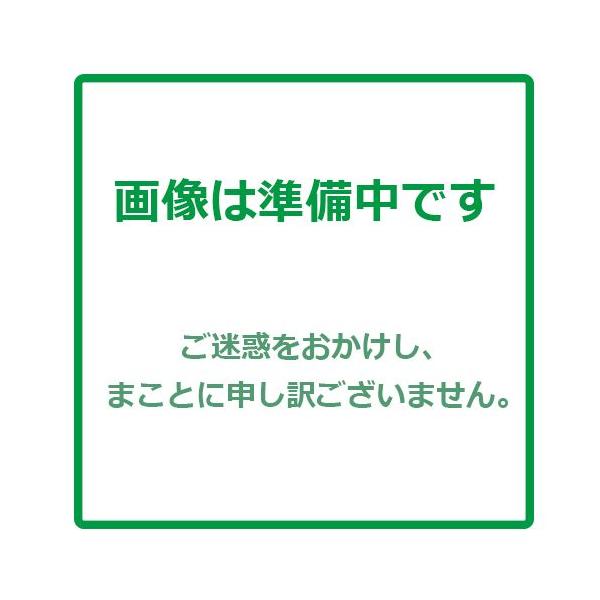 人参の種 キャロッテ レッド （コート） 小袋 約300粒入り ( 野菜の種