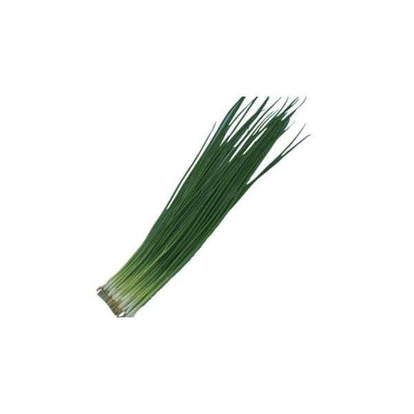 lM̎ sR22 1L ( ؂̎ )