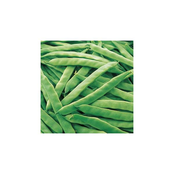 CQ̎  ȂWr[m  珬 ( ؂̎ )