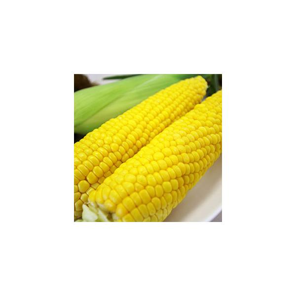 特徴　　・適期栽培では播種後88日前後の熟期の中生イエロー種。　・甘味が強く、粒皮がやわらかで食味が特に優れる。　・糖度の低下、粒皮のしなびが遅いので収穫適期の幅が広く鮮度保持能力は抜群。 　・草丈は「Sweets恵味86」より10cm高い...