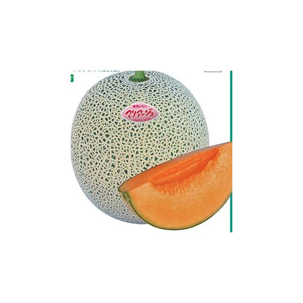 ̎ }A[WČn 100 ( ؂̎ )