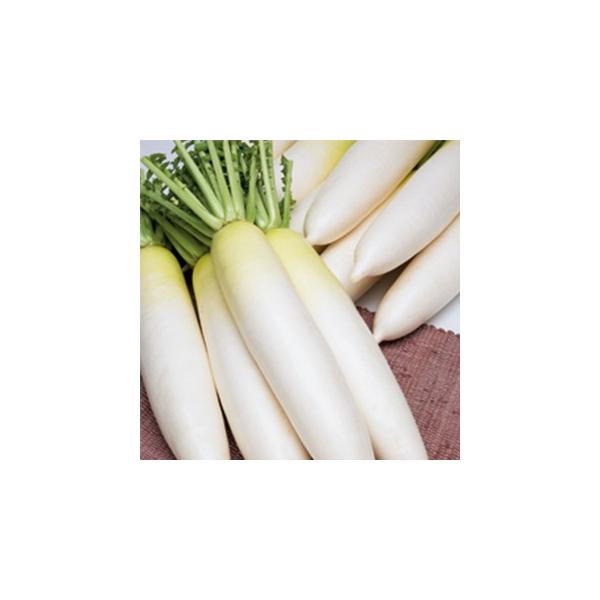 卪̎ H̗ 20ml ( ؂̎ )