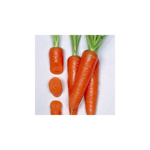 jW̎ gfܐ 2dl ( ؂̎ )