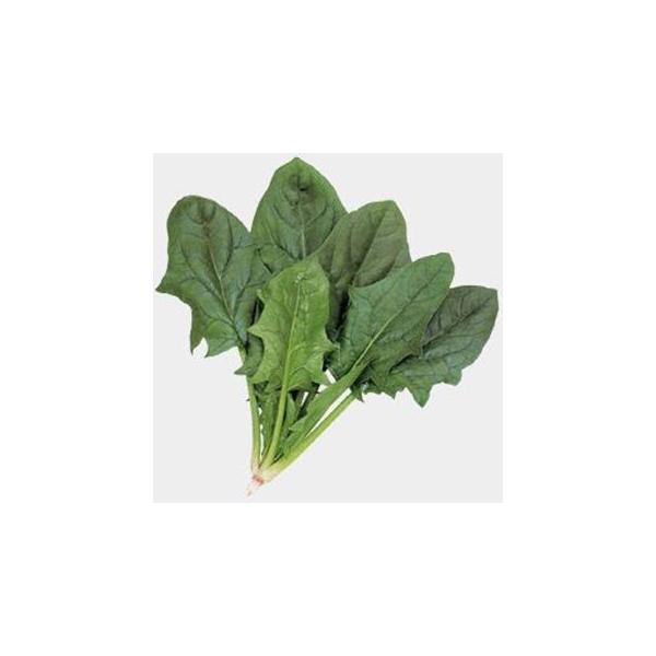 ق񑐂̎ IVX M3 ( ؂̎ )