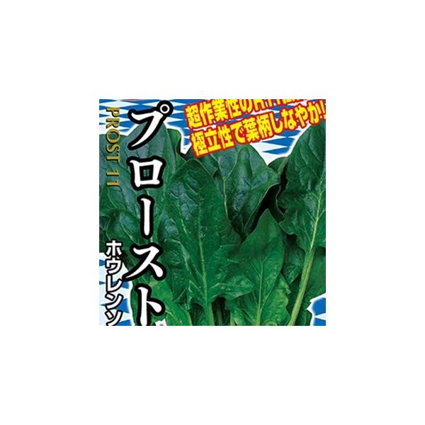 ق񑐂̎ v[Xg11 M3 ( ؂̎ )