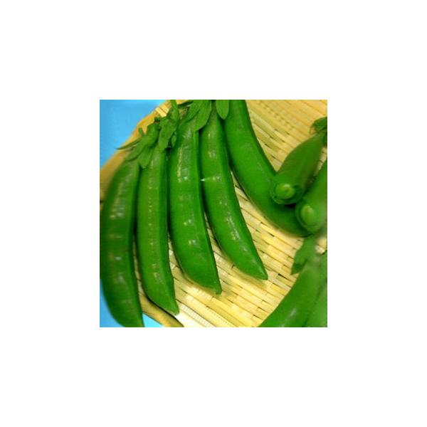 GhE̎ sbJsJXibv 1dl ( ؂̎ )