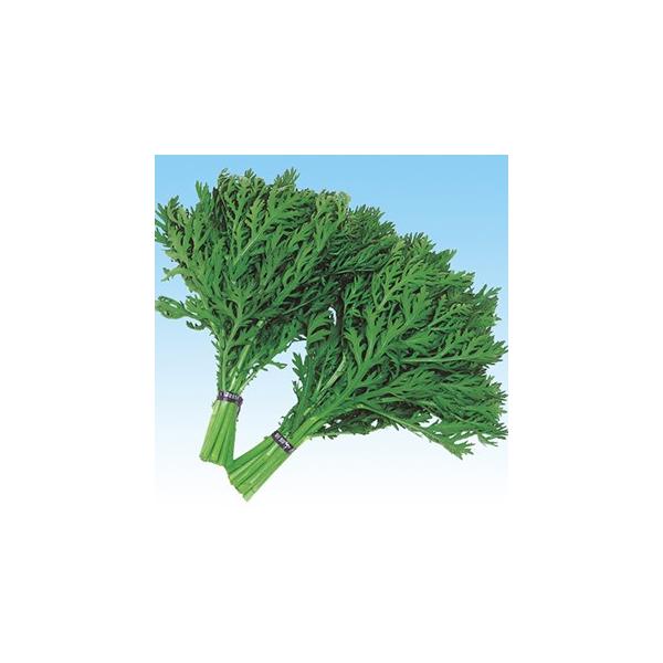 te̎ ֓t񂬂 1L ( ؂̎ )