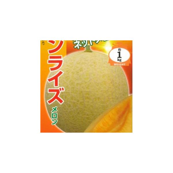 作り易い、地這い栽培用赤肉ネットメロン。 　果実は１ｋｇ前後で淡黄色皮の美しいネットが入る。 　果肉は厚く淡燈色、メルティング質で食味良好。 糖度は１４度程度に安定し、芳香があり香り高い。 　草勢は強くウドン粉・ベト病に耐病性。 成熟日数は...
