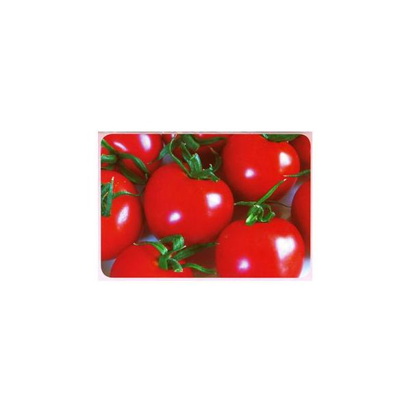 ʃg}g̎ Rs| 15 ( ؂̎ )