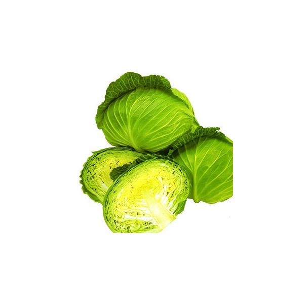 Lxc̎ ЂȂ R[g5痱 ( ؂̎ )