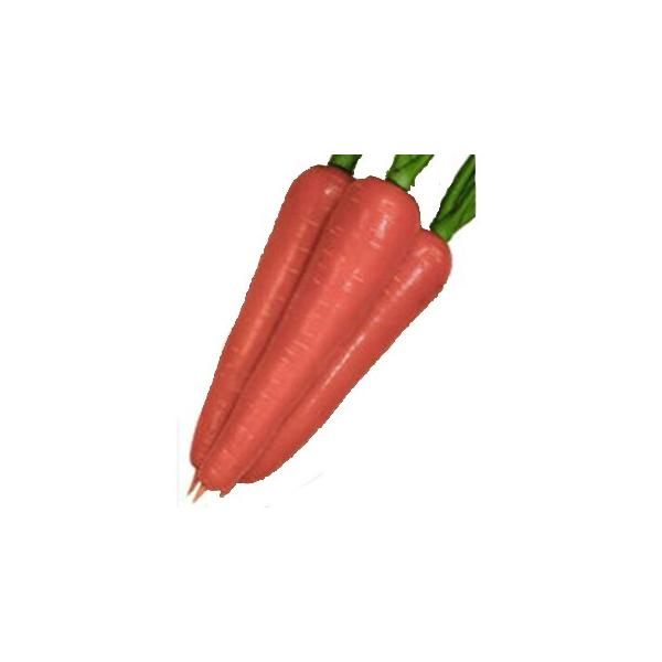 jW̎ g R[g1 ( ؂̎ )