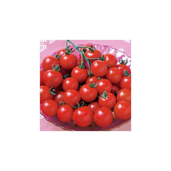 g}g̎ ~jg}g CFRR DF (16)