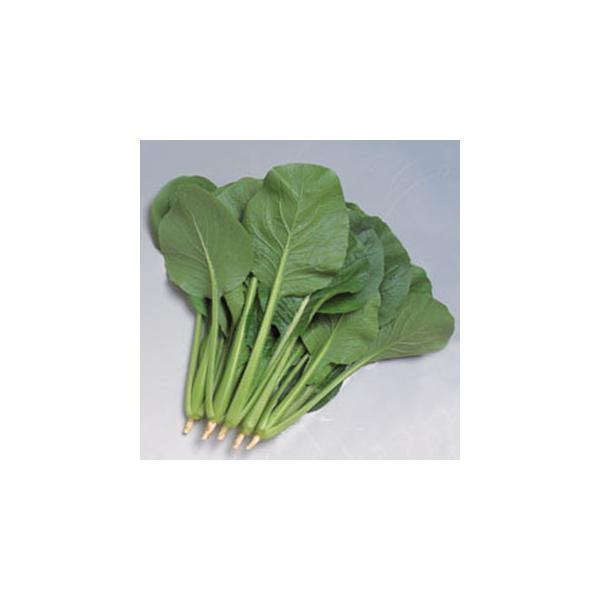 ؂̎ yV MF (MF 2.7ml)