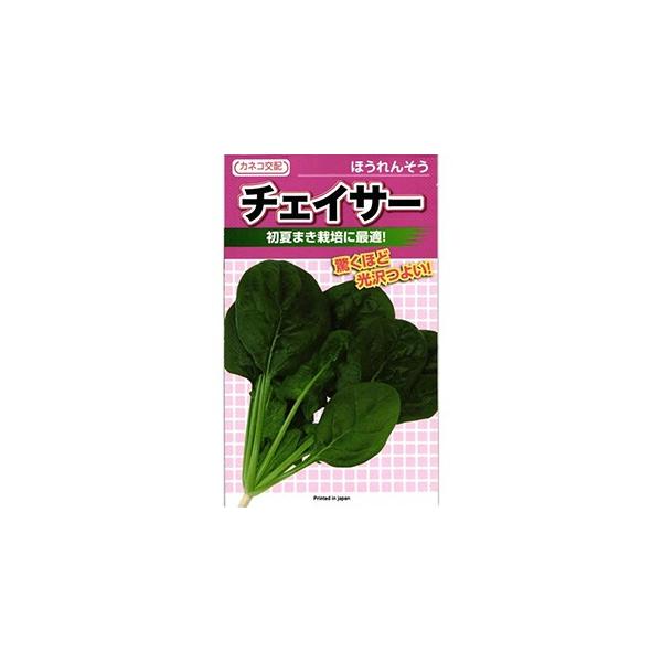 zE\E̎ `FCT[ M3 ( ؂̎ )