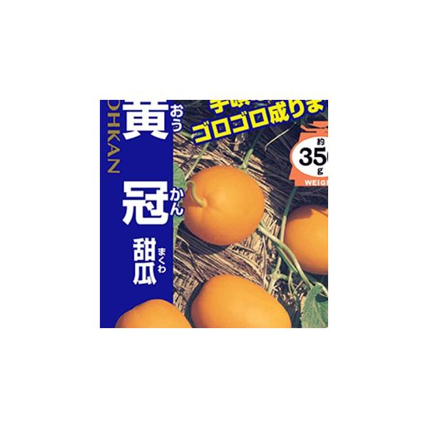 }NE̎  20ml ( ؂̎ )