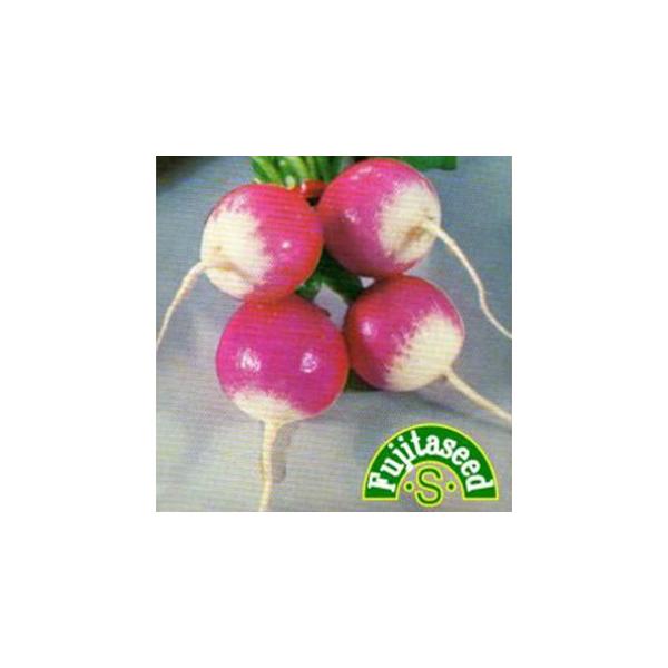 _CR̎ gۓ\卪@Rr  ( ؂̎ )