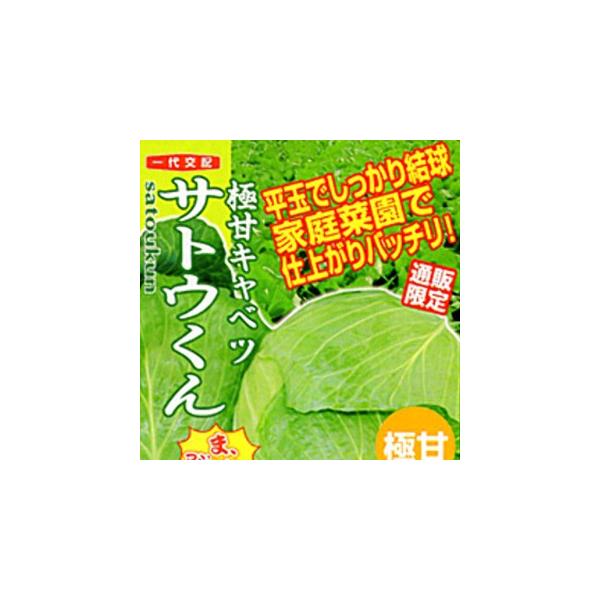 Lxc̎ TgE R[g5痱 ( ؂̎ )