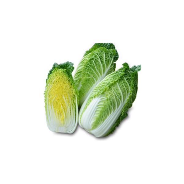 nNTC̎ ~jTO ܁i0D8mlj ( ؂̎ )