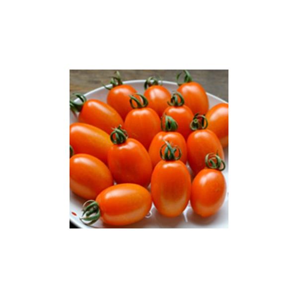 g}g̎ IWȂ߂ ܁i9j ( ؂̎ )