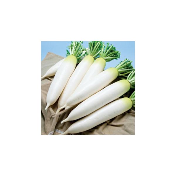 卪̎ _y ybg3L5痱 ( ؂̎ )