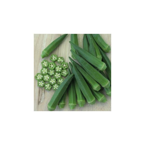 IN̎ O[WG[ 1000 ( ؂̎ )