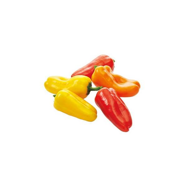 s[}̎ ςՊہ@IW  ( ؂̎ )