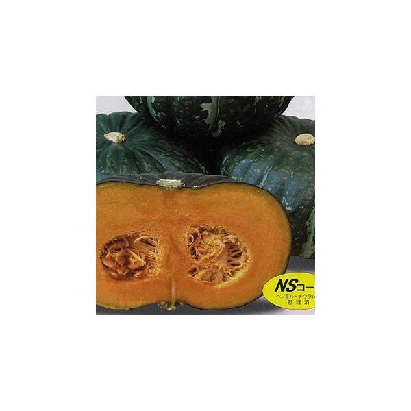 J{`̎ I܂iNS|027j ܁i7j