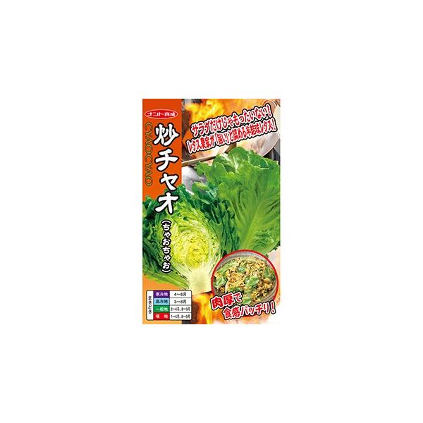 ^X̎ u`IiႨႨj R[g1000 ( ؂̎ )