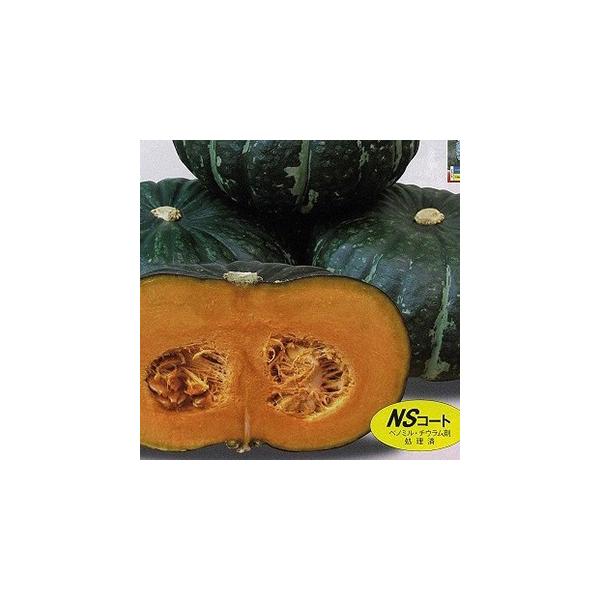 J{`̎  I܂imr|OQVj  100 ( ؂̎ )