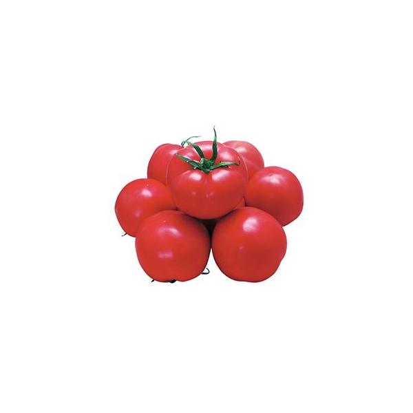 g}g̎ щΎR  500 ( ؂̎ )