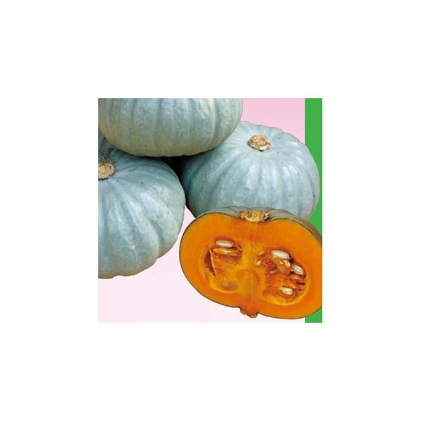 J{`̎  Ȃ䂫Ђ  ܁i6j ( ؂̎ )