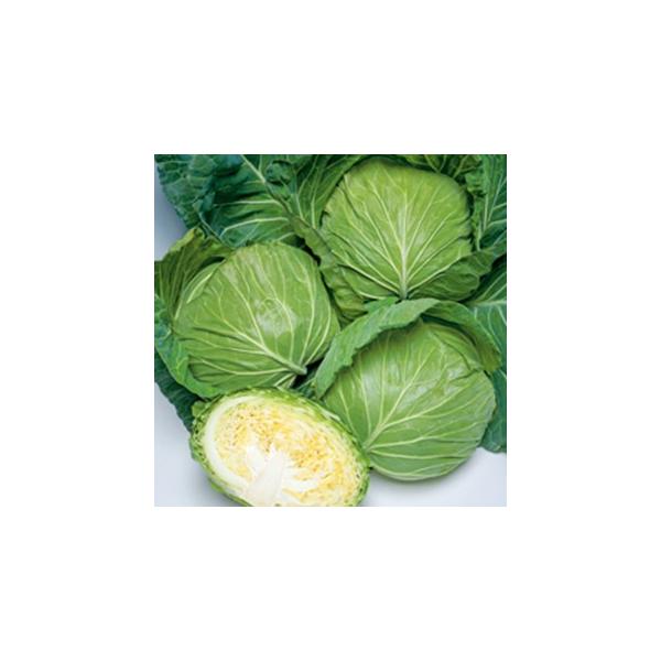 Lxc̎  L_l2000 ( ؂̎ )