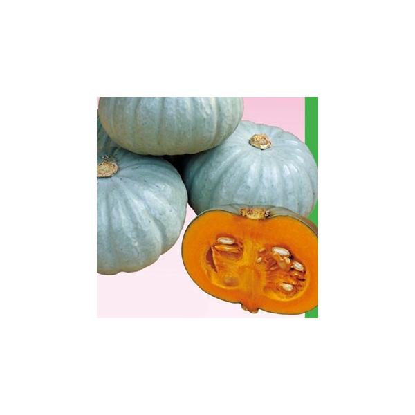 J{`̎  Ȃ䂫Ђ  100 ( ؂̎ )