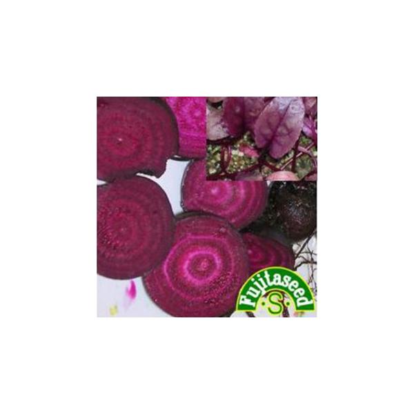 r[c̎ LfBXgCv  ( ؂̎ )