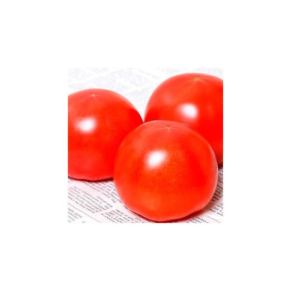 g}g̎ {  1000 ( ؂̎ )