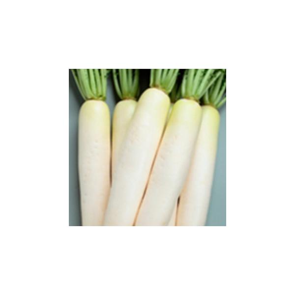 卪̎ Ă̎iicmJ~j 珬 ( ؂̎ )