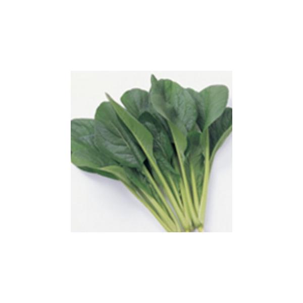 R}ci̎ ͂܂Â 2dl ( ؂̎ )