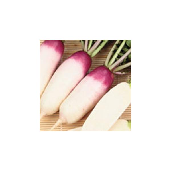 卪̎ ߂ 珬 ( ؂̎ )