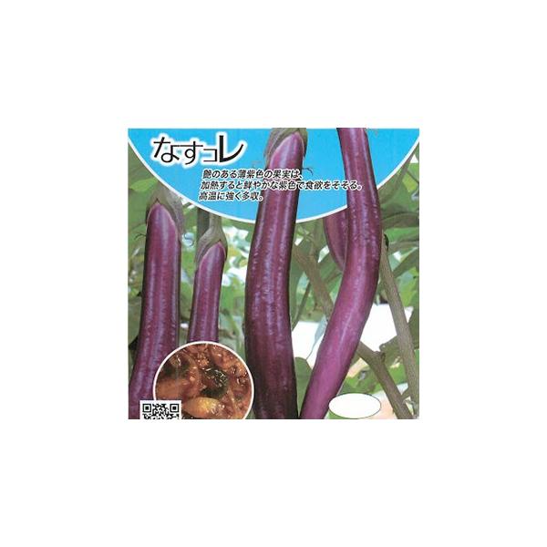 iX̎ iXu߂đp 100 ( ؂̎ )