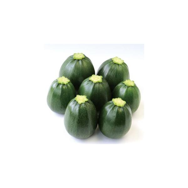 かわいい丸形のズッキーニ、果実色は濃緑色で光沢がある。・開花後３〜5日後の果実直径7〜８ｃｍで収穫。収穫の遅れは果実への傷や樹への負担になるため適期収穫を心掛ける。・生育初期から草勢が安定し雌花、雄花がバランスよく開花して次々の果実が収穫可能。