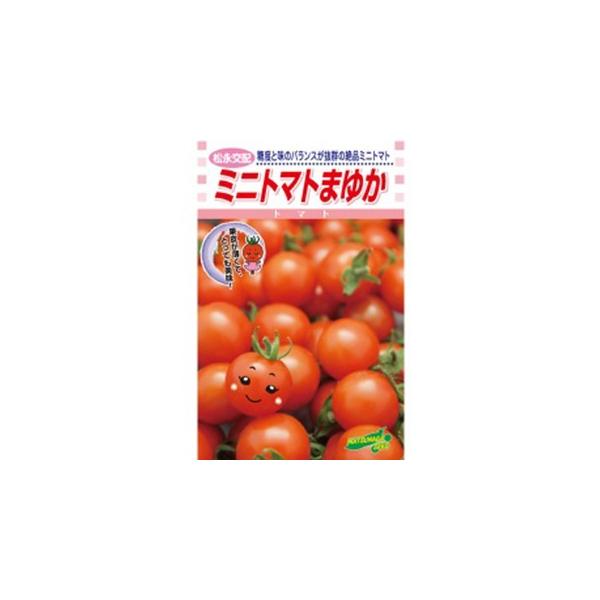 g}g̎ ܂䂩 (100) ( ؂̎ )