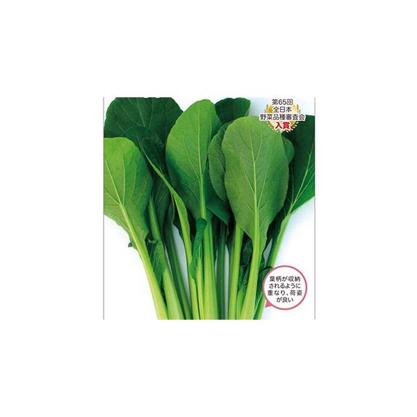 R}ci̎ t̃Zoc ܁i10mlj ( ؂̎ )